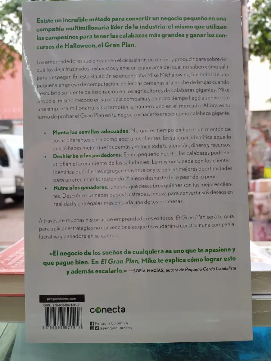 El Gran Plan Una Estrategia Simple Para Cultivar Un Negocio