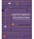 Comportamiento Organizacional