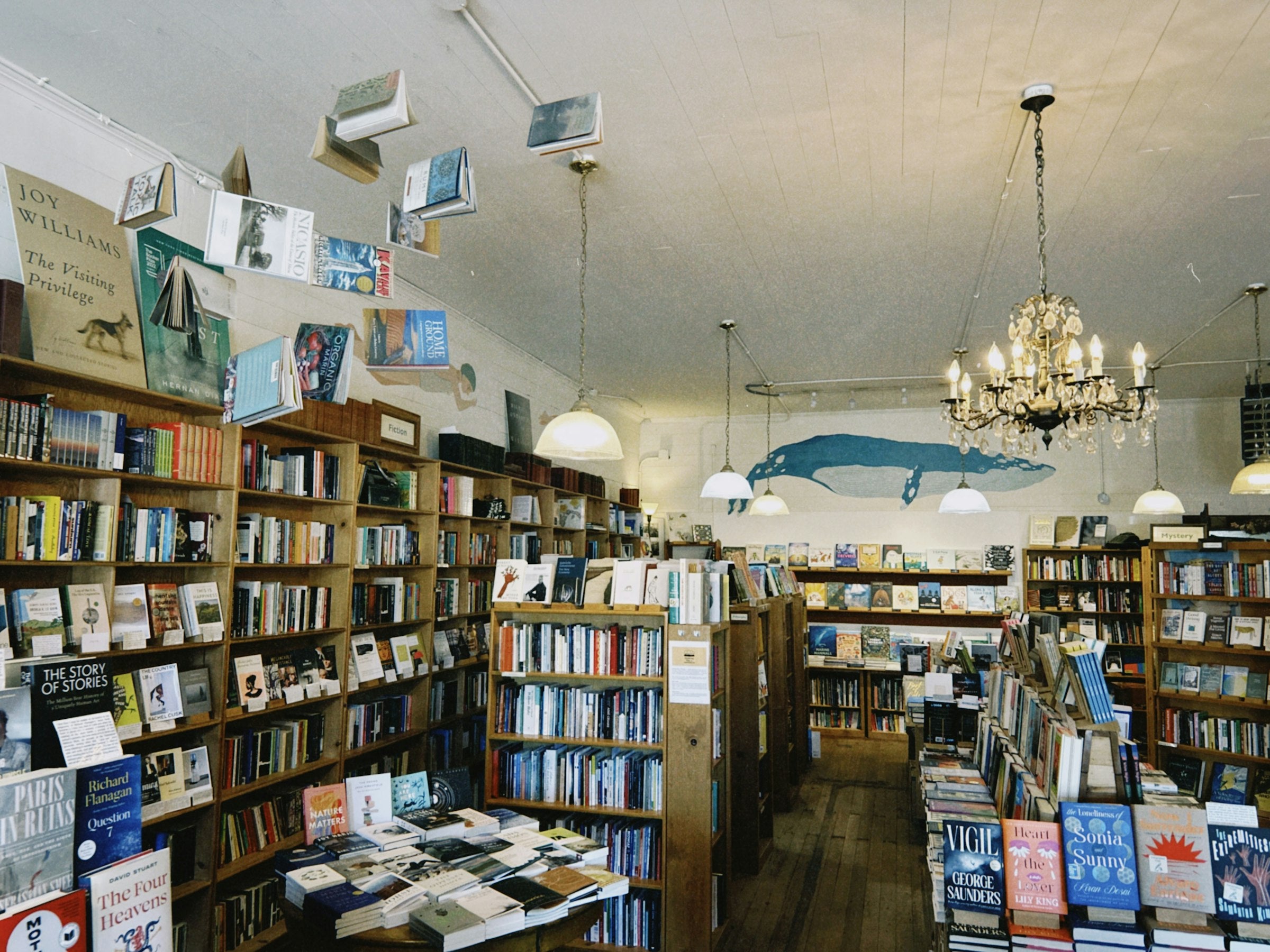 Libreria elegante e iluminada, fondo hero Landra